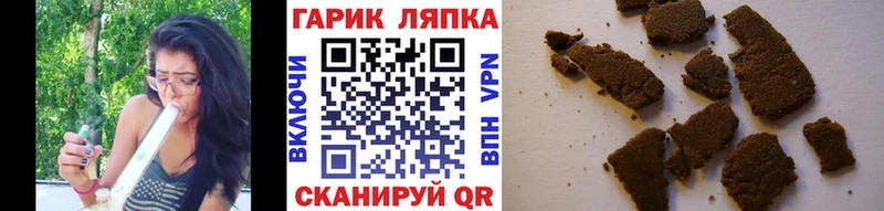 закладки Новосиль Гашиш индика сатива