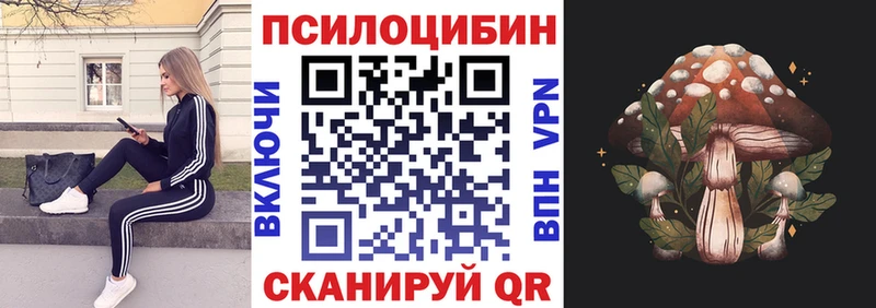 цена   Новосиль  Псилоцибиновые грибы мухоморы 