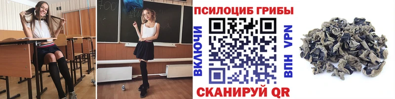 Галлюциногенные грибы Cubensis Новосиль